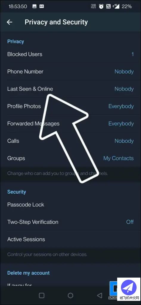 如何隐藏手机和桌面上的Telegram“最后可见”状态